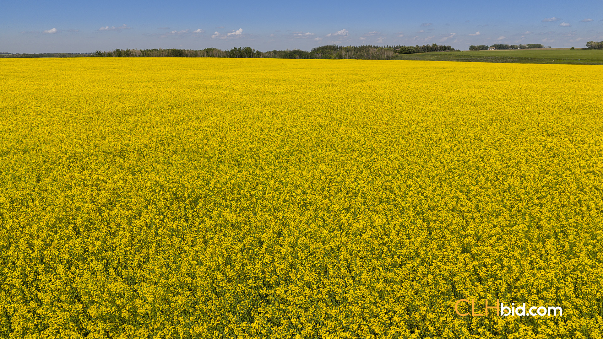 Web-FoothillsHeadliner-2