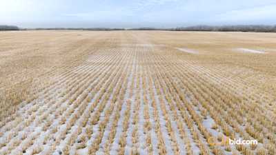 Surge At Forestburg - Parcel 1