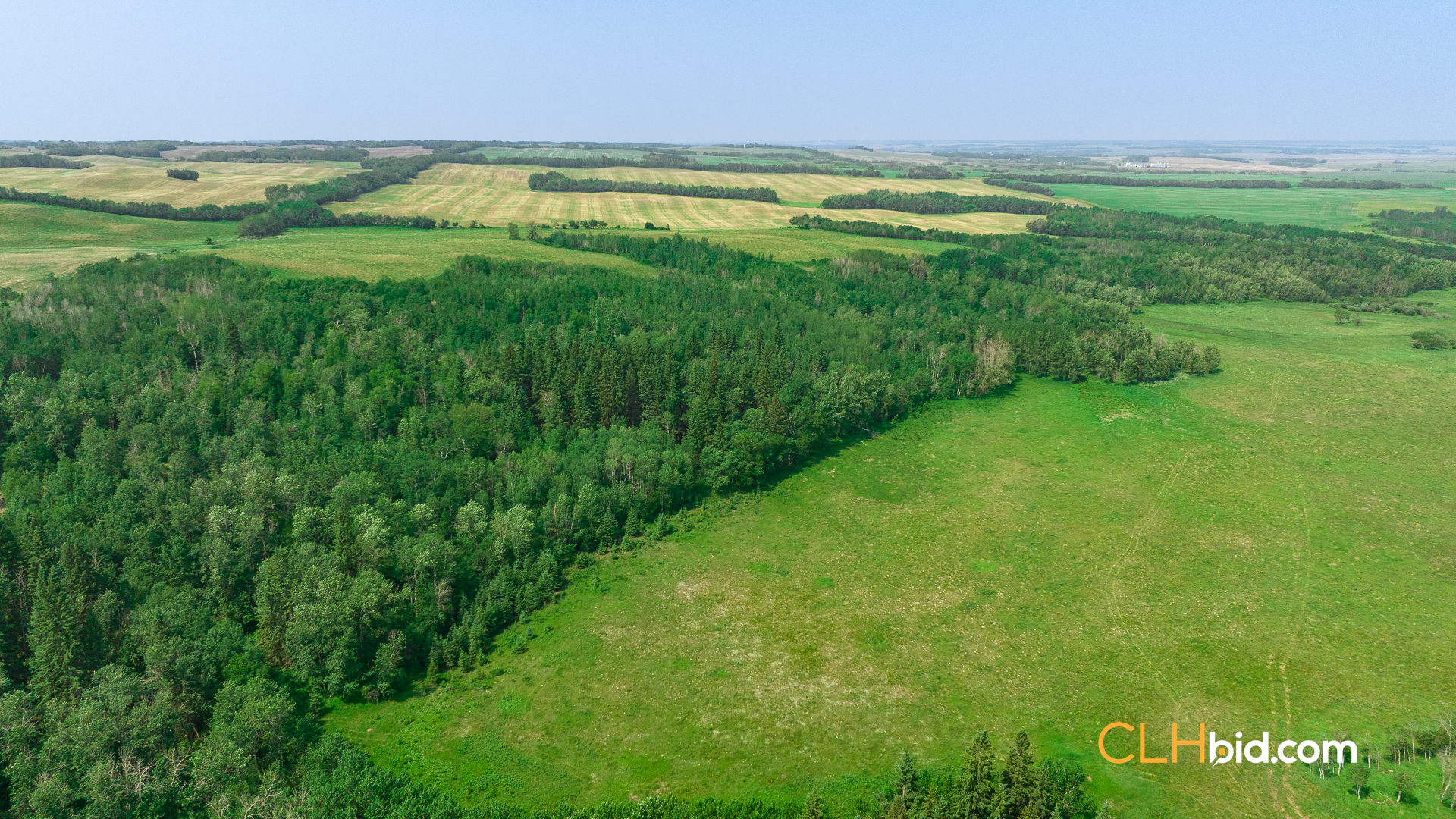 Web-Innisfree8Summer-36