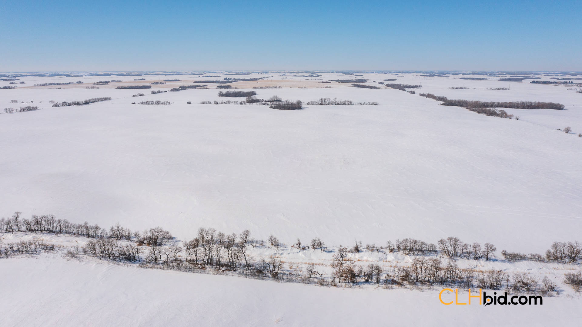 Web-FlagstaffHonors-2