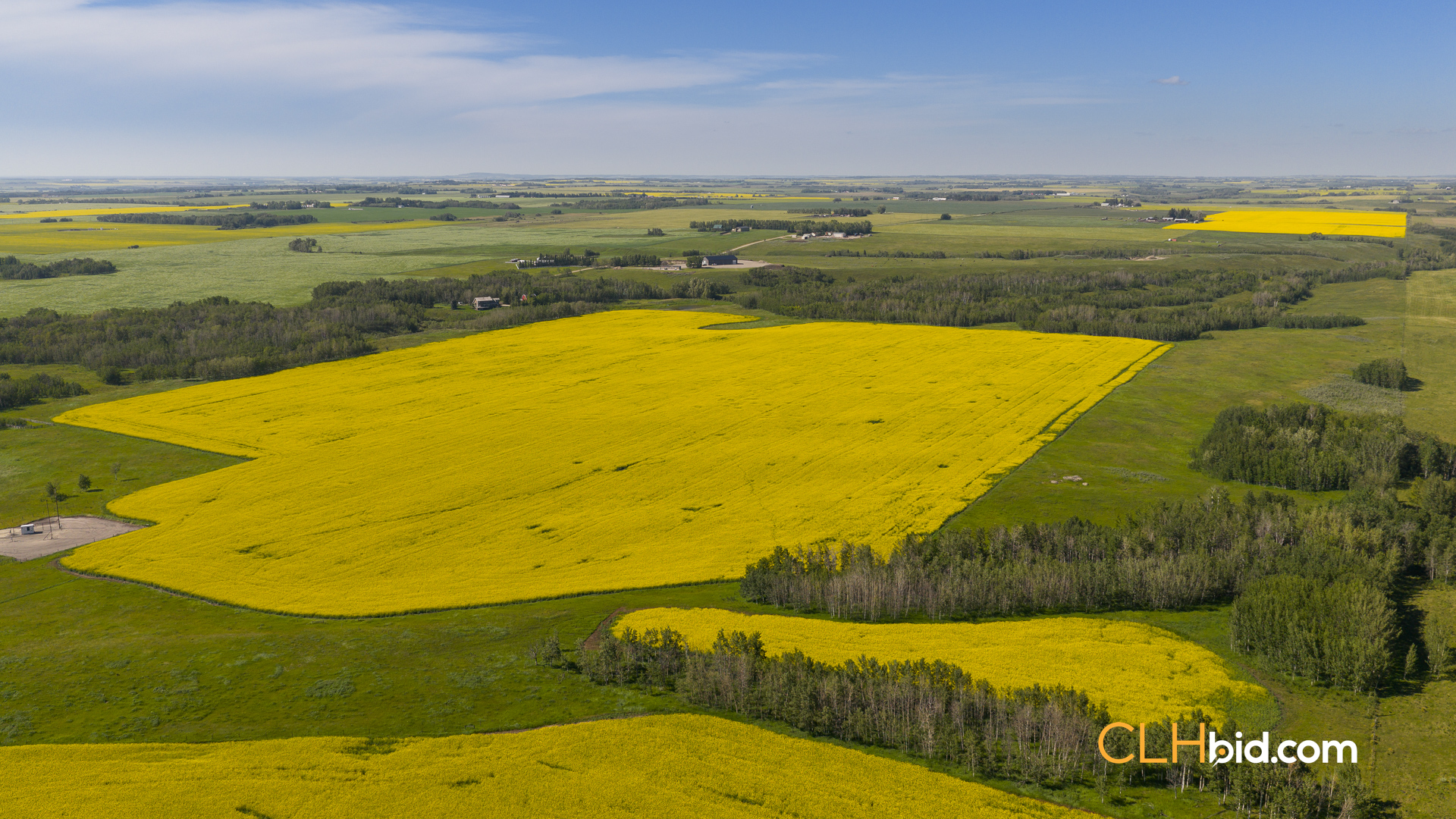 Web-FoothillsHeadliner-9