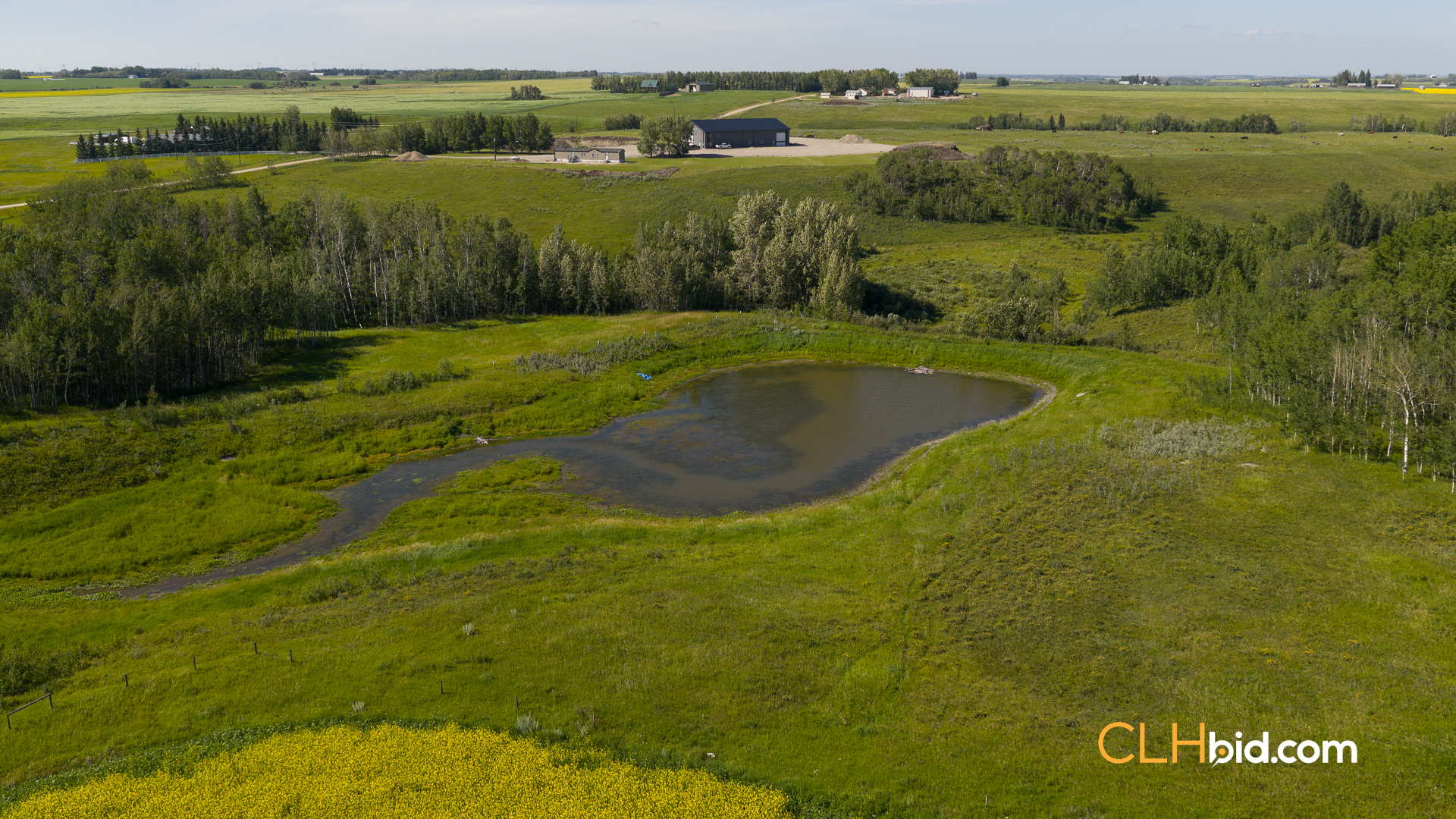 Web-FoothillsHeadliner-11