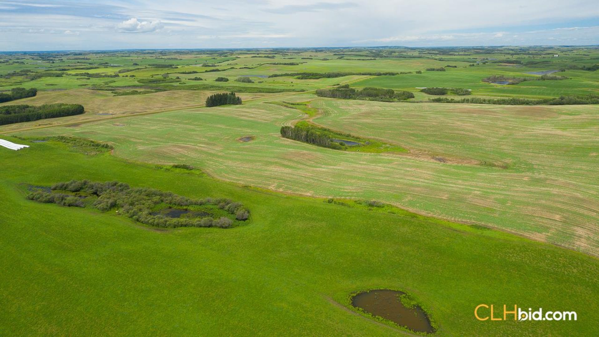 clandonaldcountrycousins-2-6