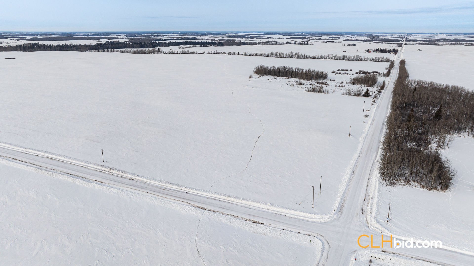 Web-LamontTopGrade-45