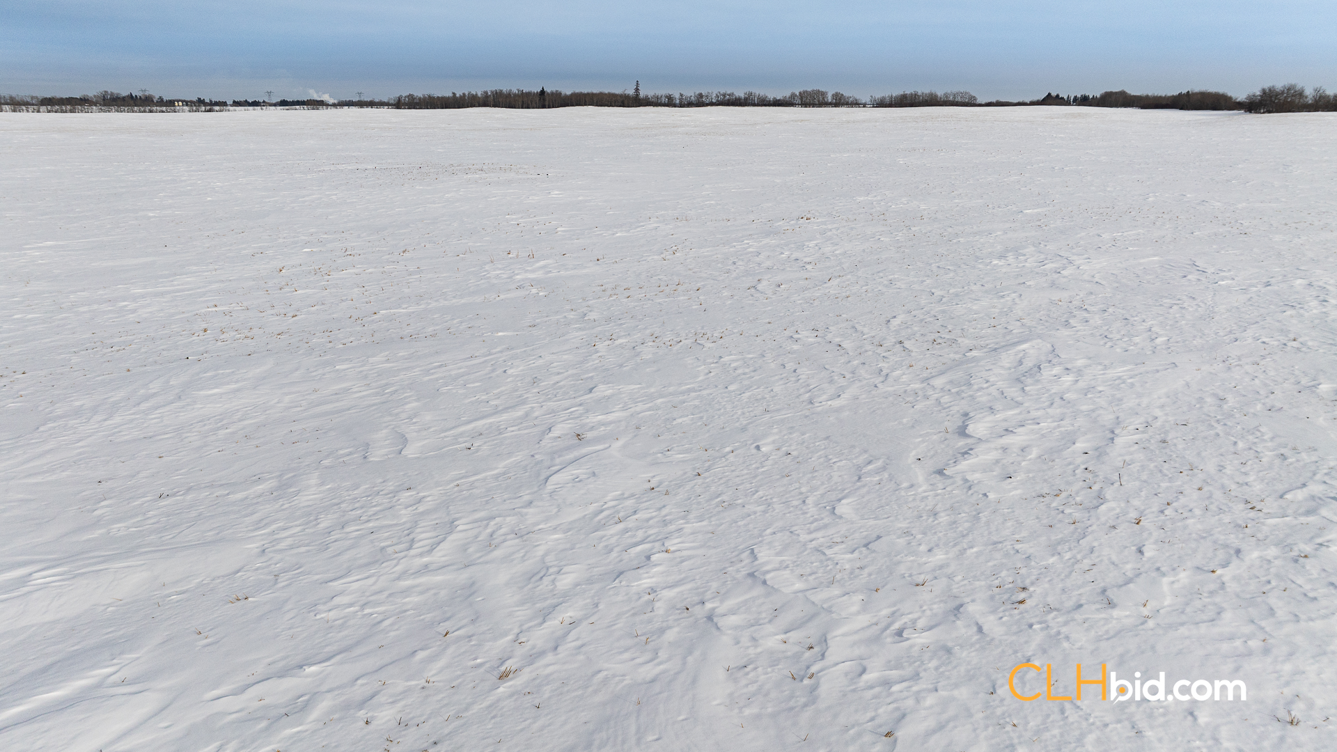 Web-LamontTopGrade-39