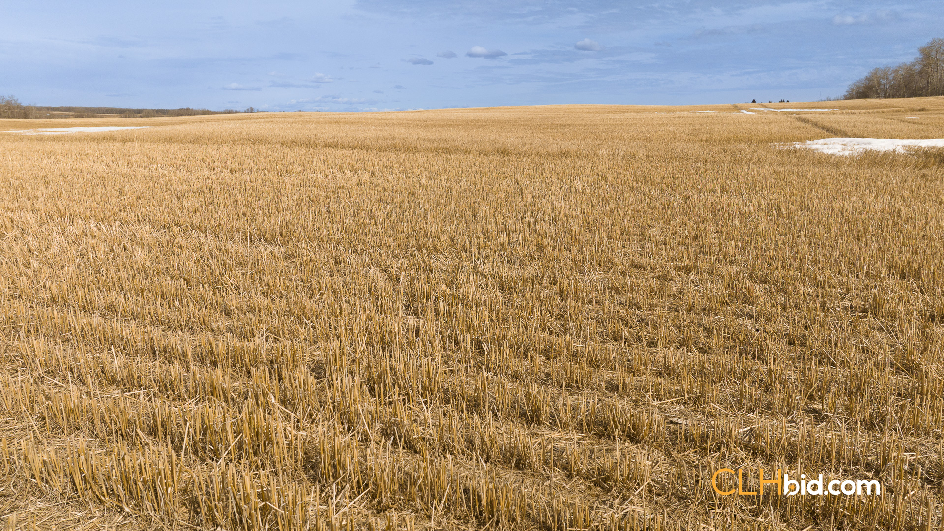 Web-BentleyRoyalty-3