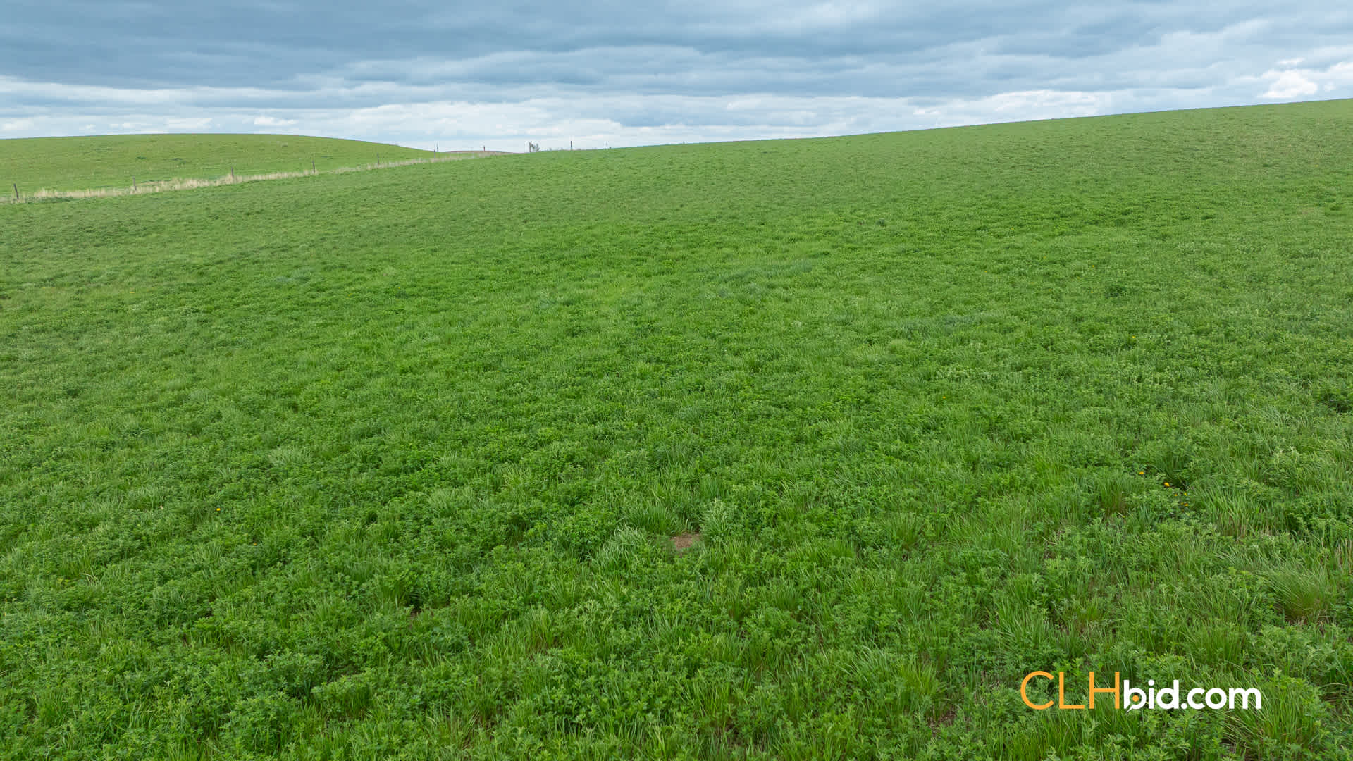 Web-LegacyMoveNEW-52