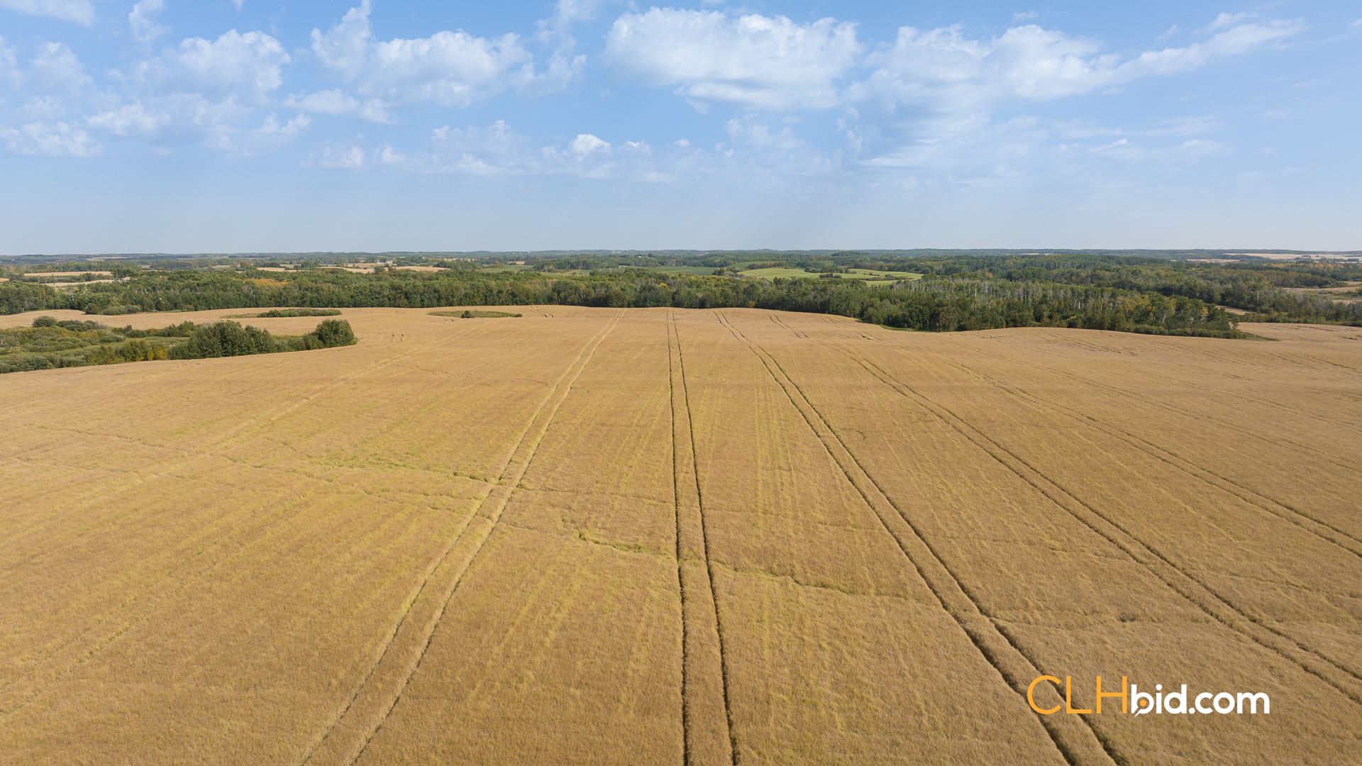 Web-RossburnPrimary-12