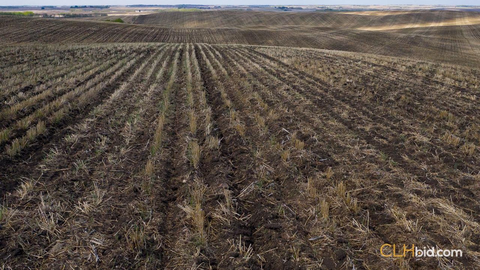 vermilionbuffalotrailnorth41-1-5