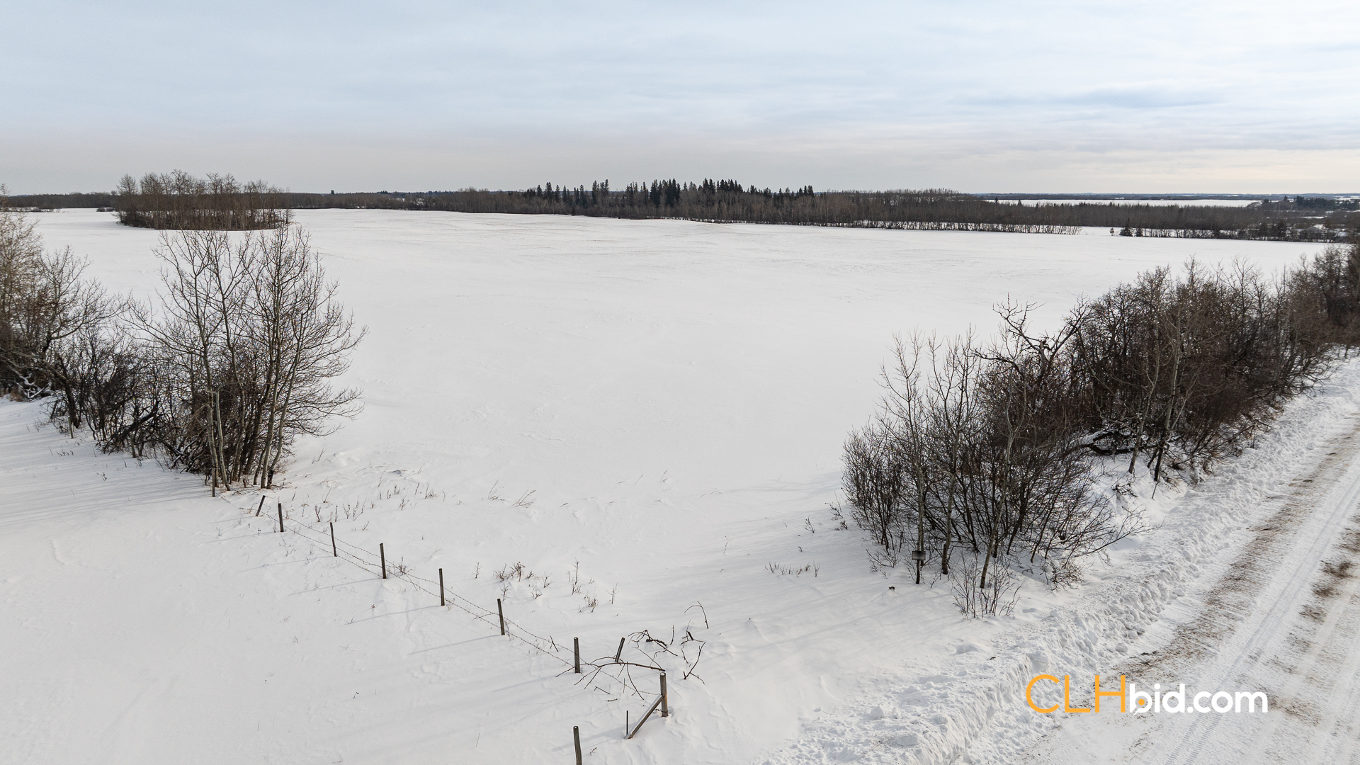 Web-LamontTopGrade-28