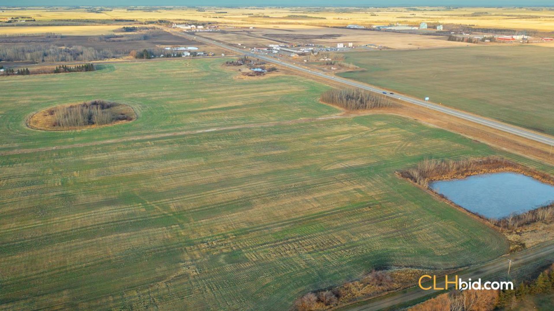 landyoursturgeon-2-8