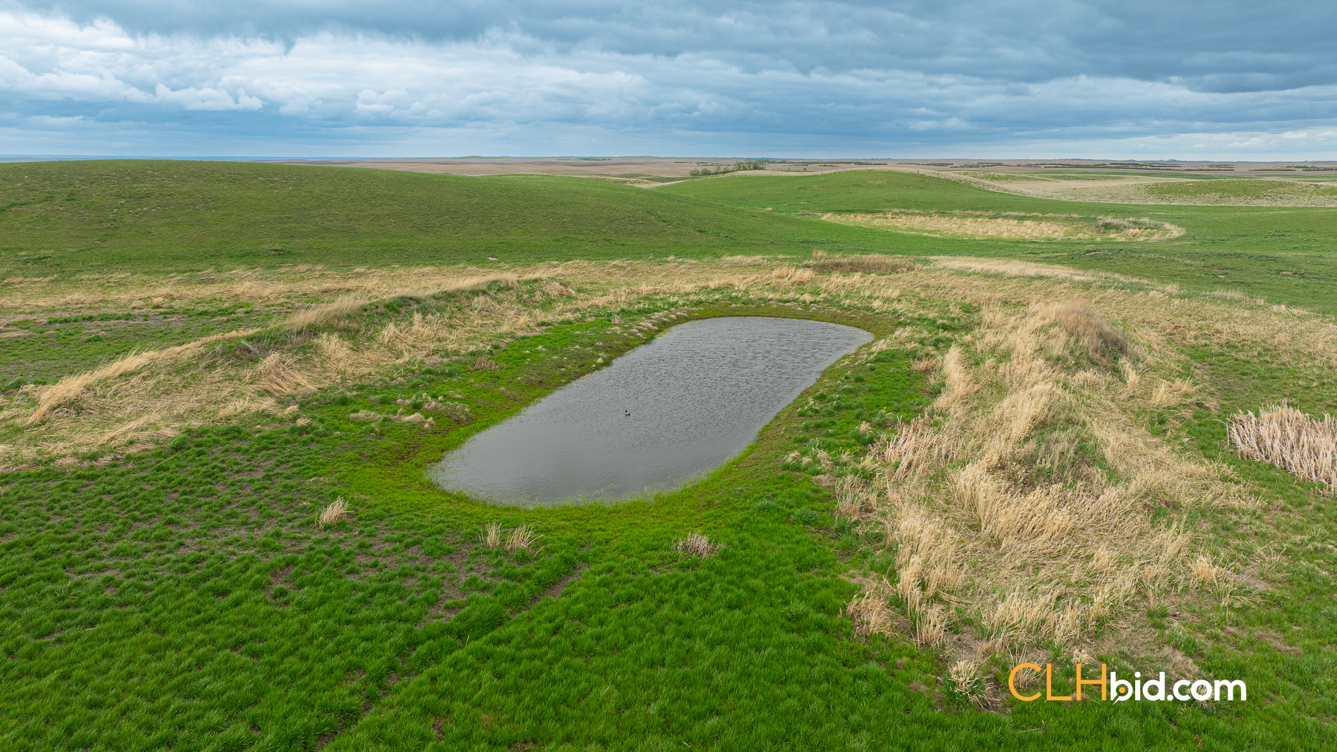 Web-LegacyMoveNEW-53