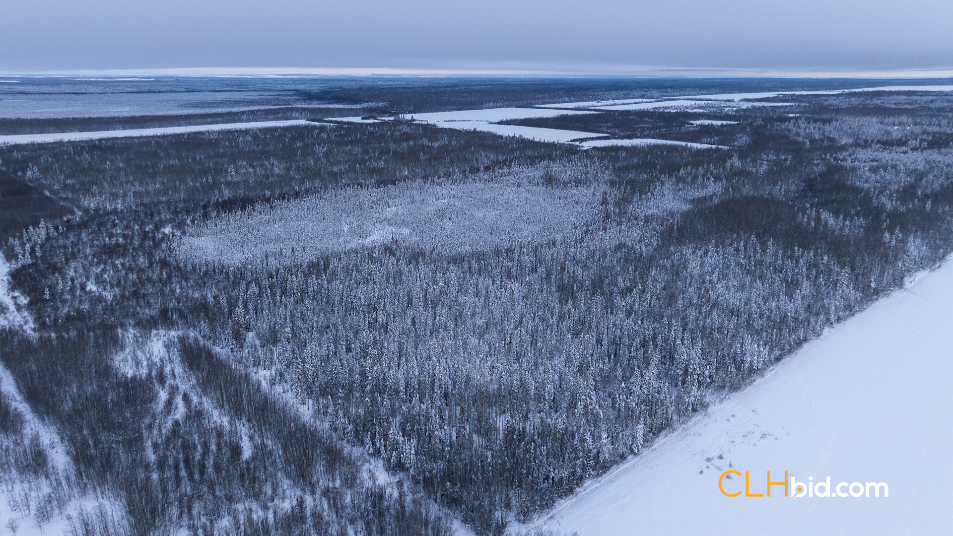 Web Moonshine Hideaway P1-5