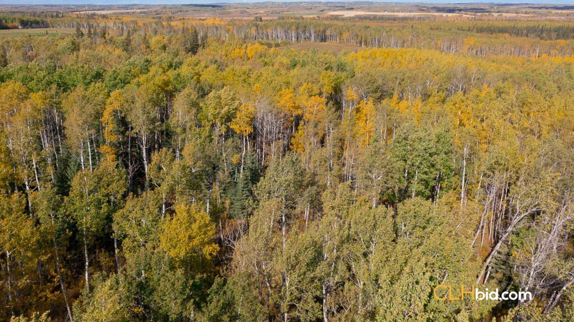 peaceofthefrontier-1-2