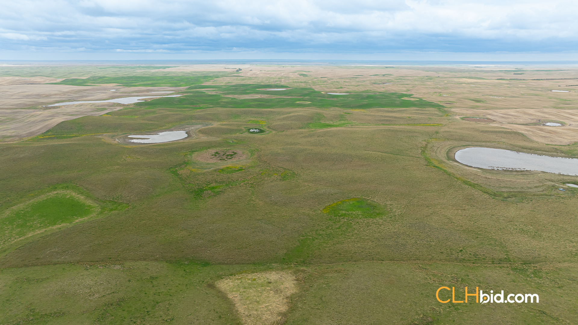 Web-LegacyMoveNEW-26