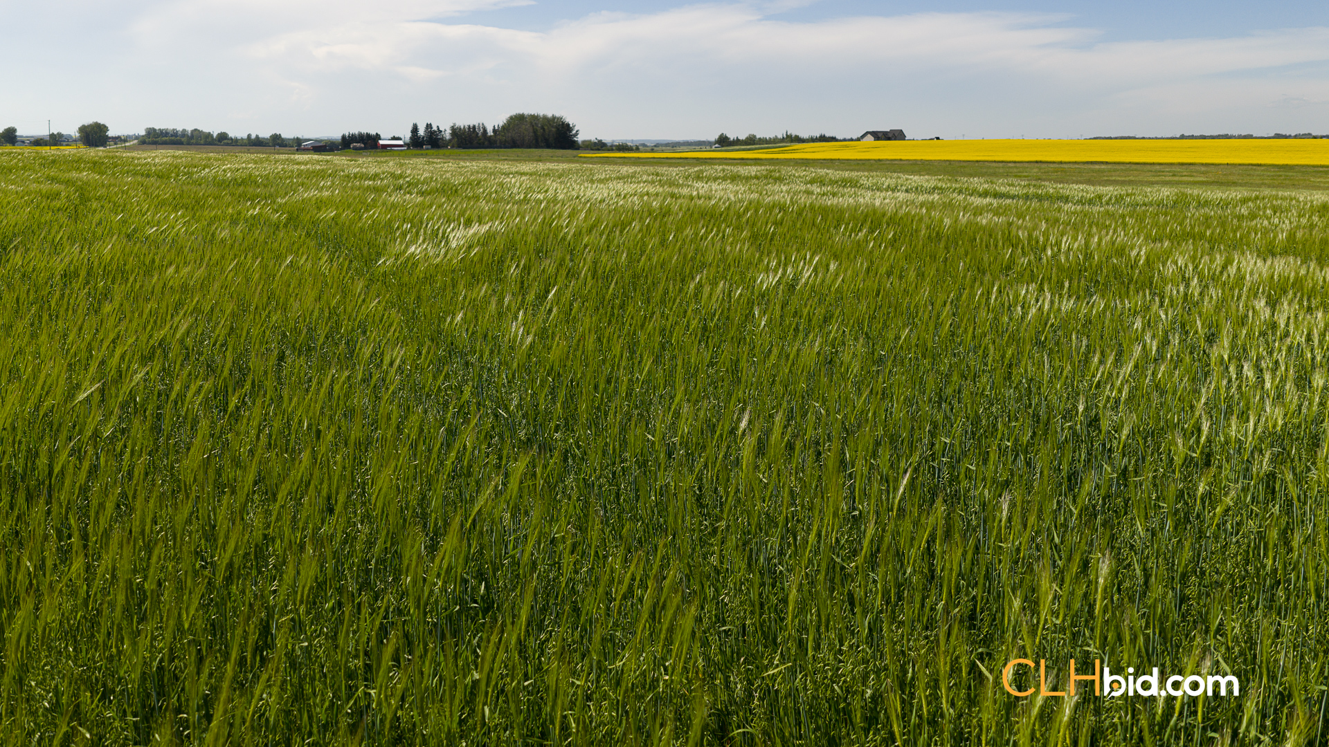 Web-FoothillsHeadliner-4