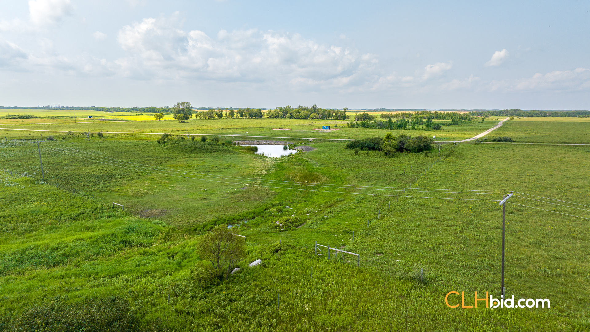 Web-Virden-Select-16