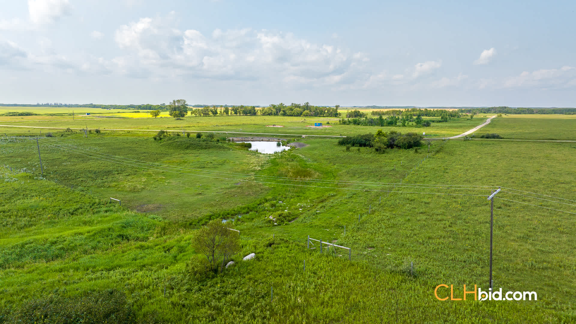 Web-Virden-Select-16