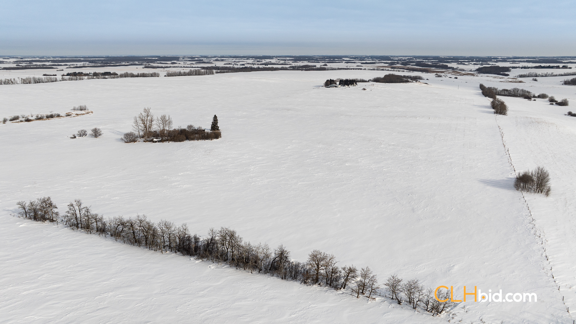 Web-LamontTopGrade-20