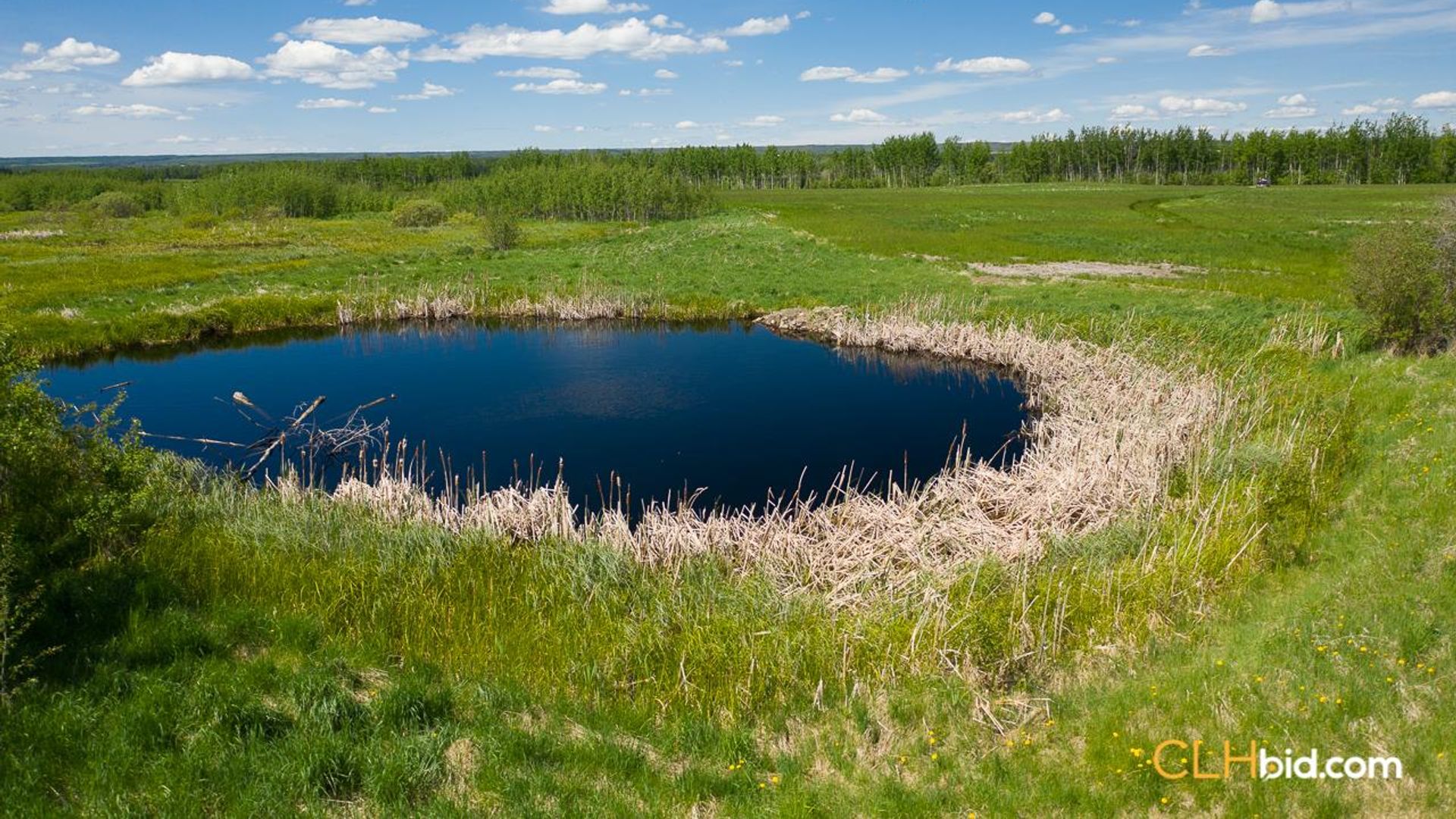 bigskymountainview-7-7