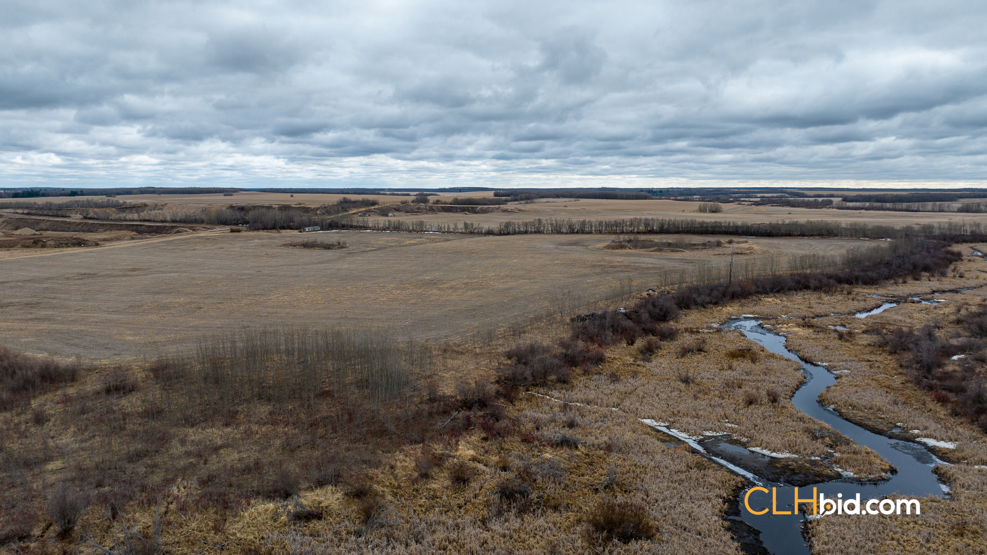 Web-Star-City-Rockstar-21