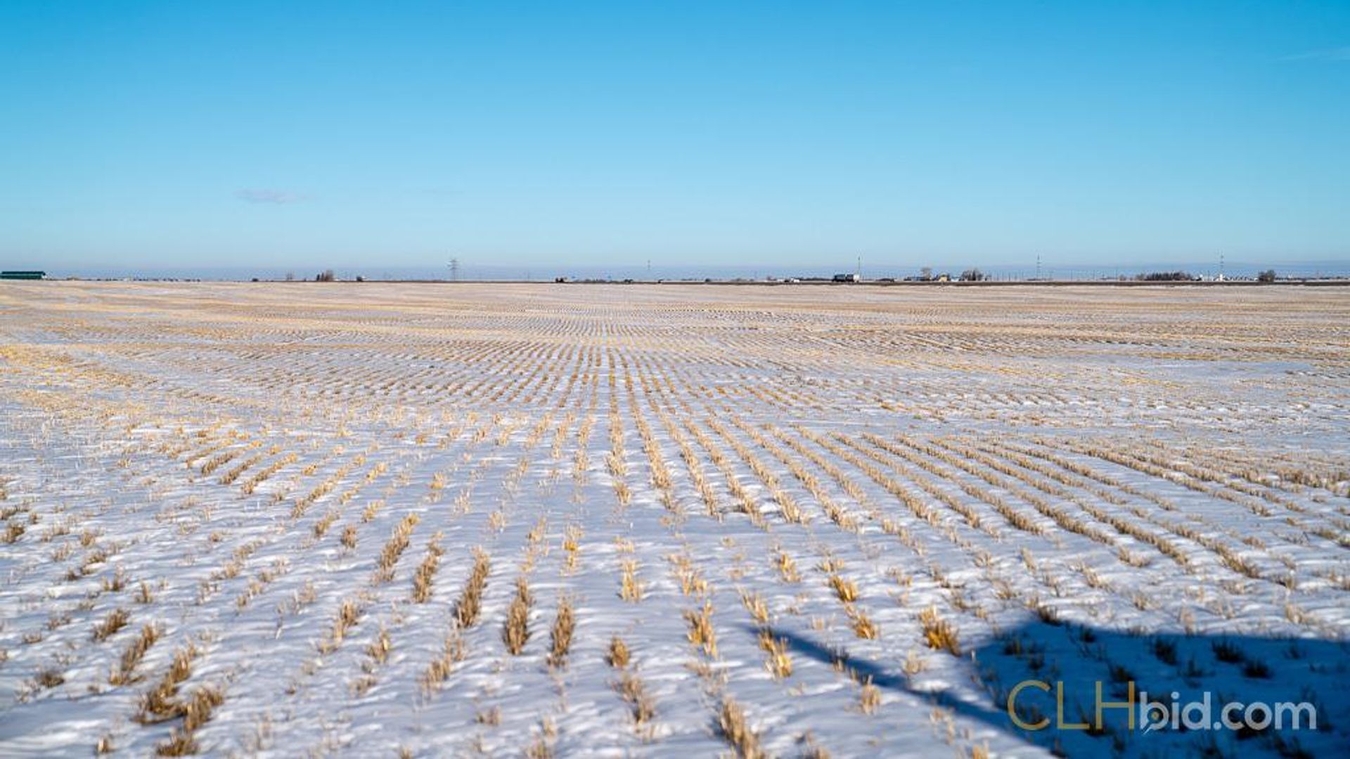 curbsideontheeconomiccorridor-1-7