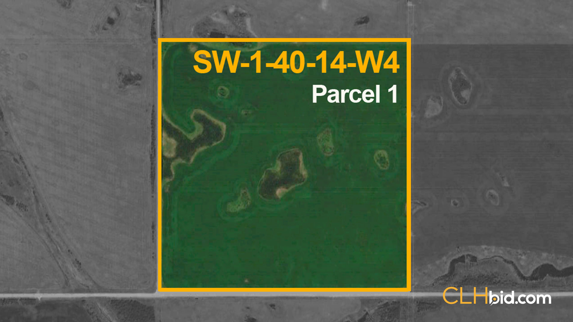 KISSICK P1 - WIDE - Contentful