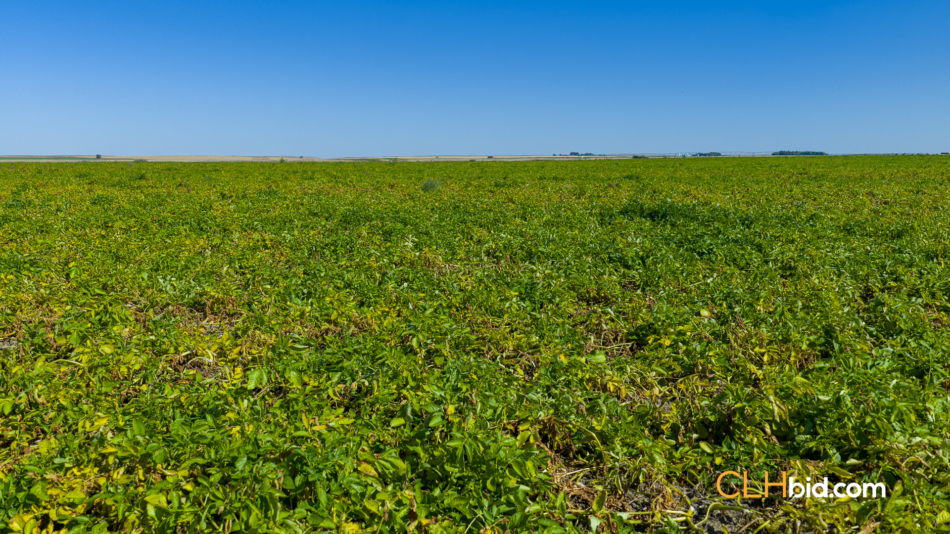 Web-MegaFortyMile-36