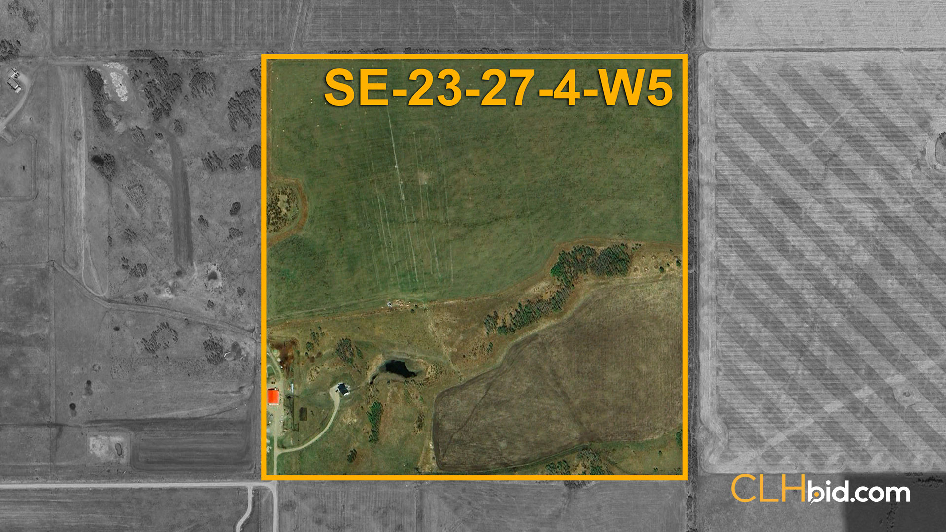 Cochrane-Dynasty-OVERVIEW