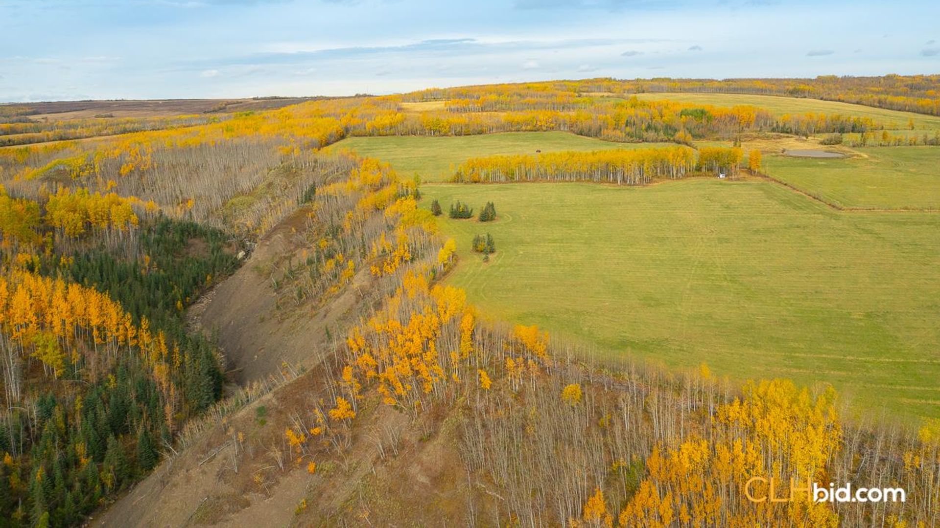 theranchonbradenroad-2-2