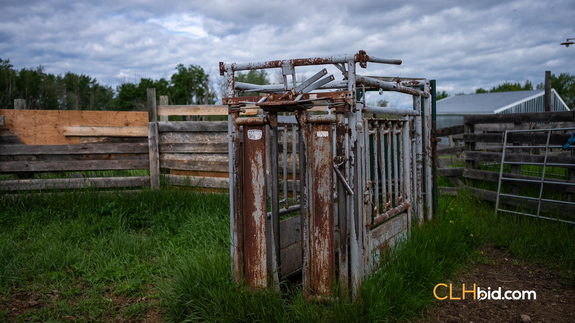 Web The Cattle Crossing-39