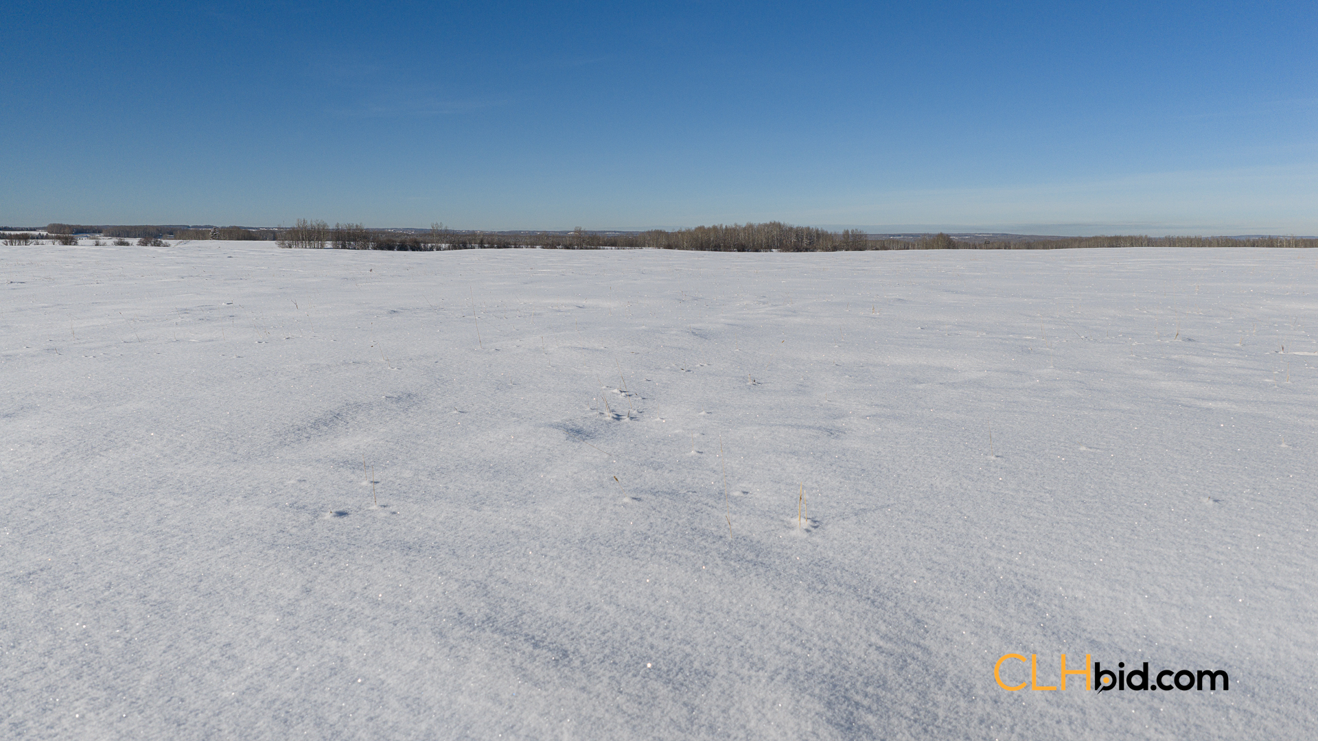 Web-DraytonCorridor-28