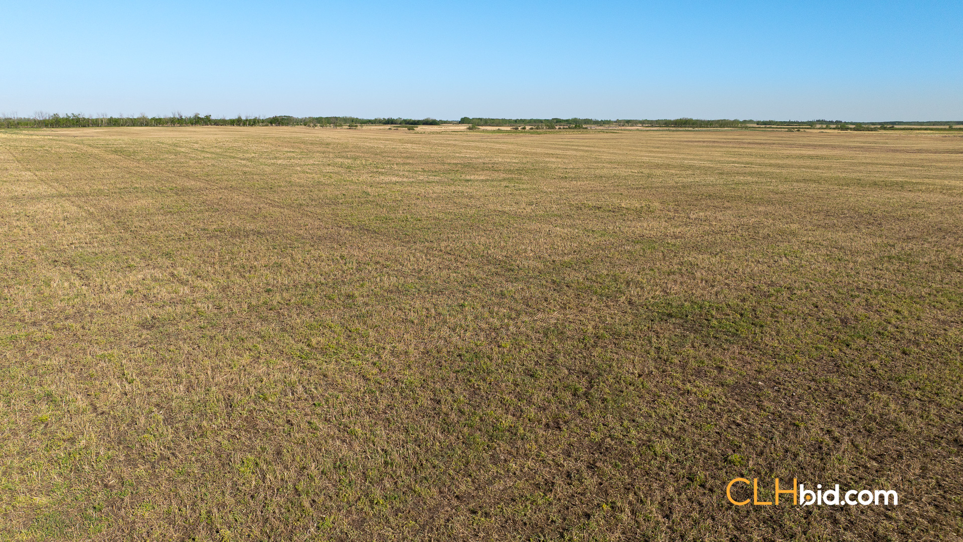 Web-AssiniboineRancher-47