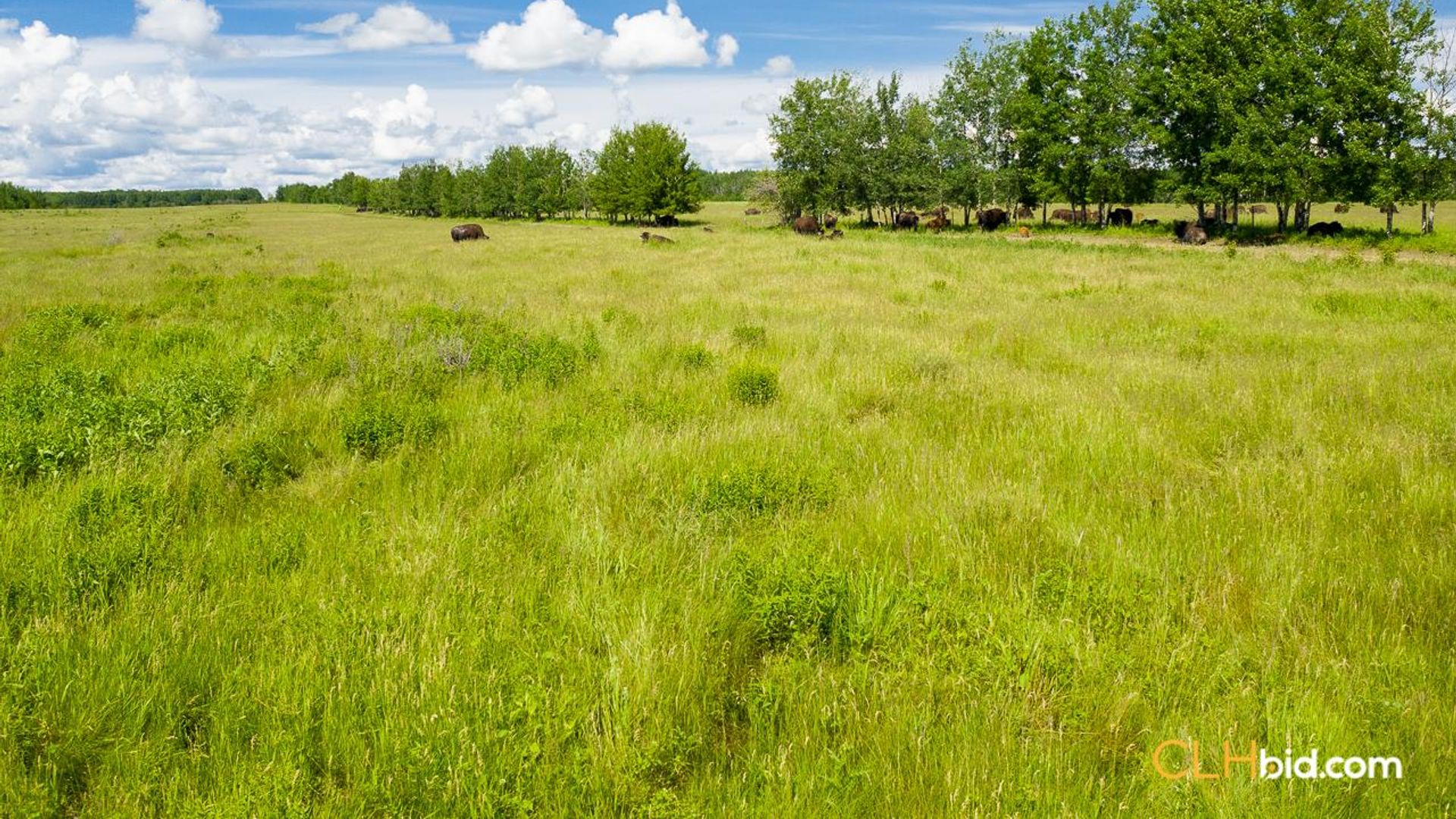 harmonvalleybig8ranch-1-15