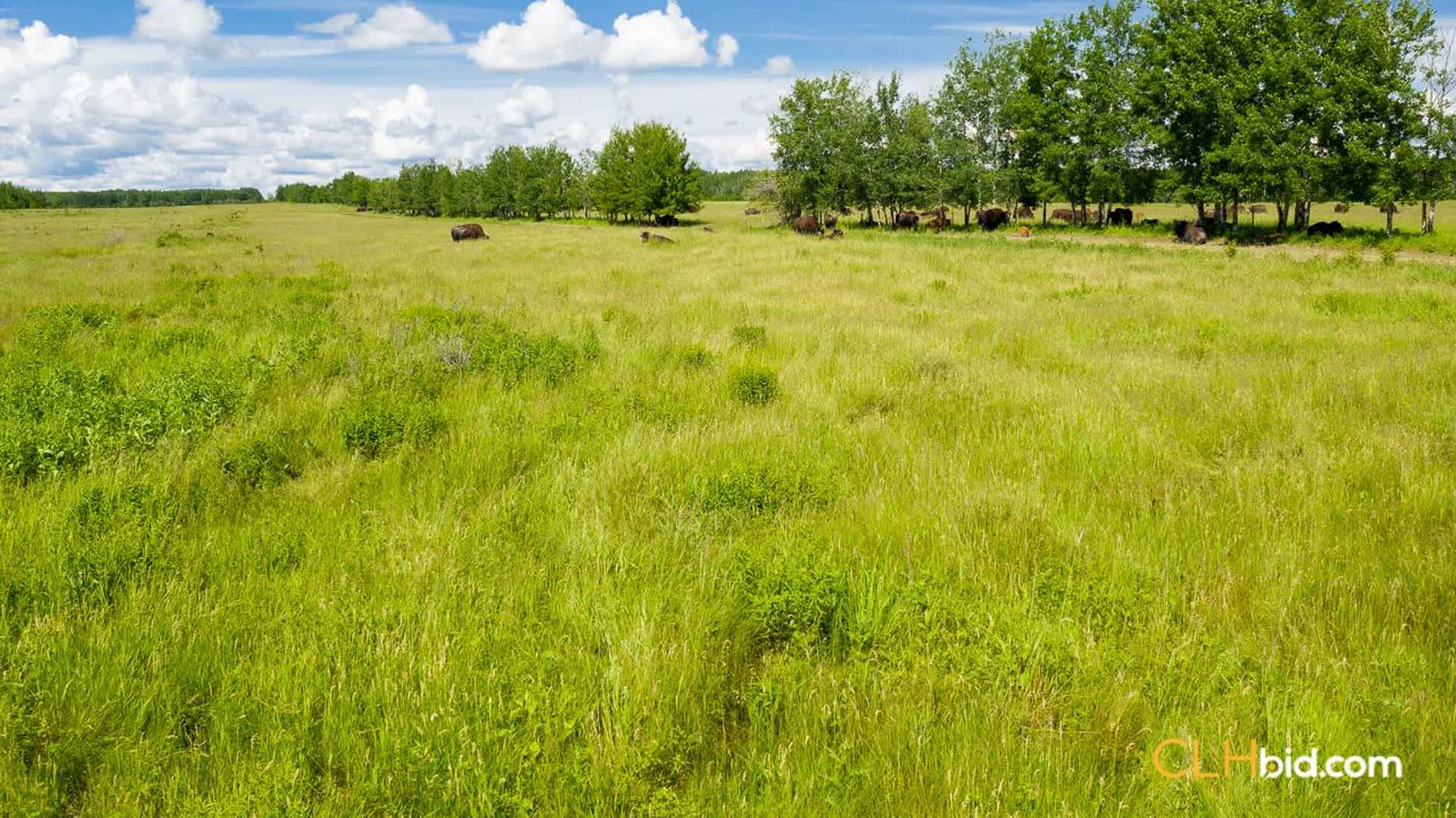 harmonvalleybig8ranch-1-15