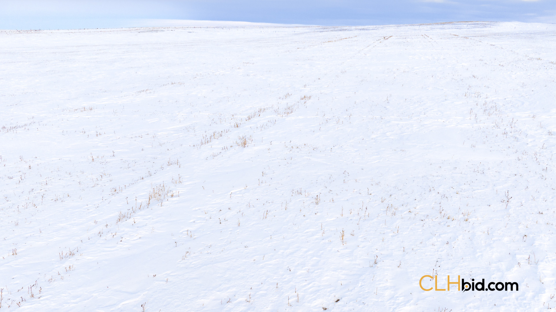 P4 Web169-AcresOfPedigree-19