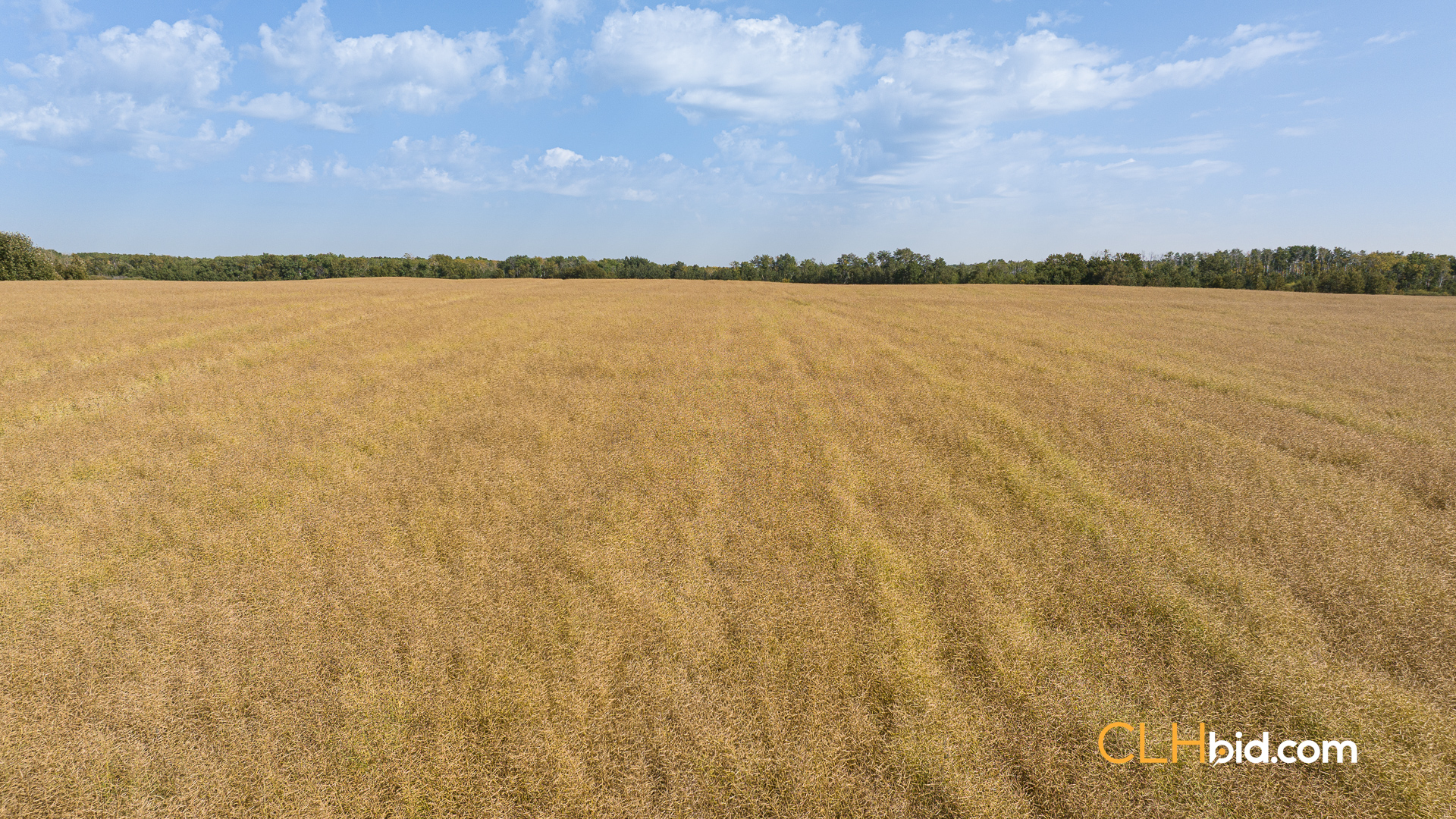 Web-RossburnPrimary-13