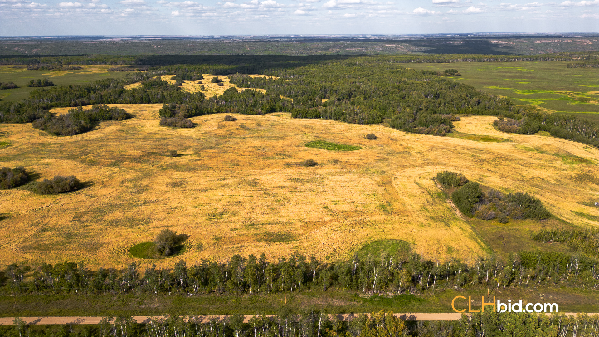 Web Wanham Expander-7