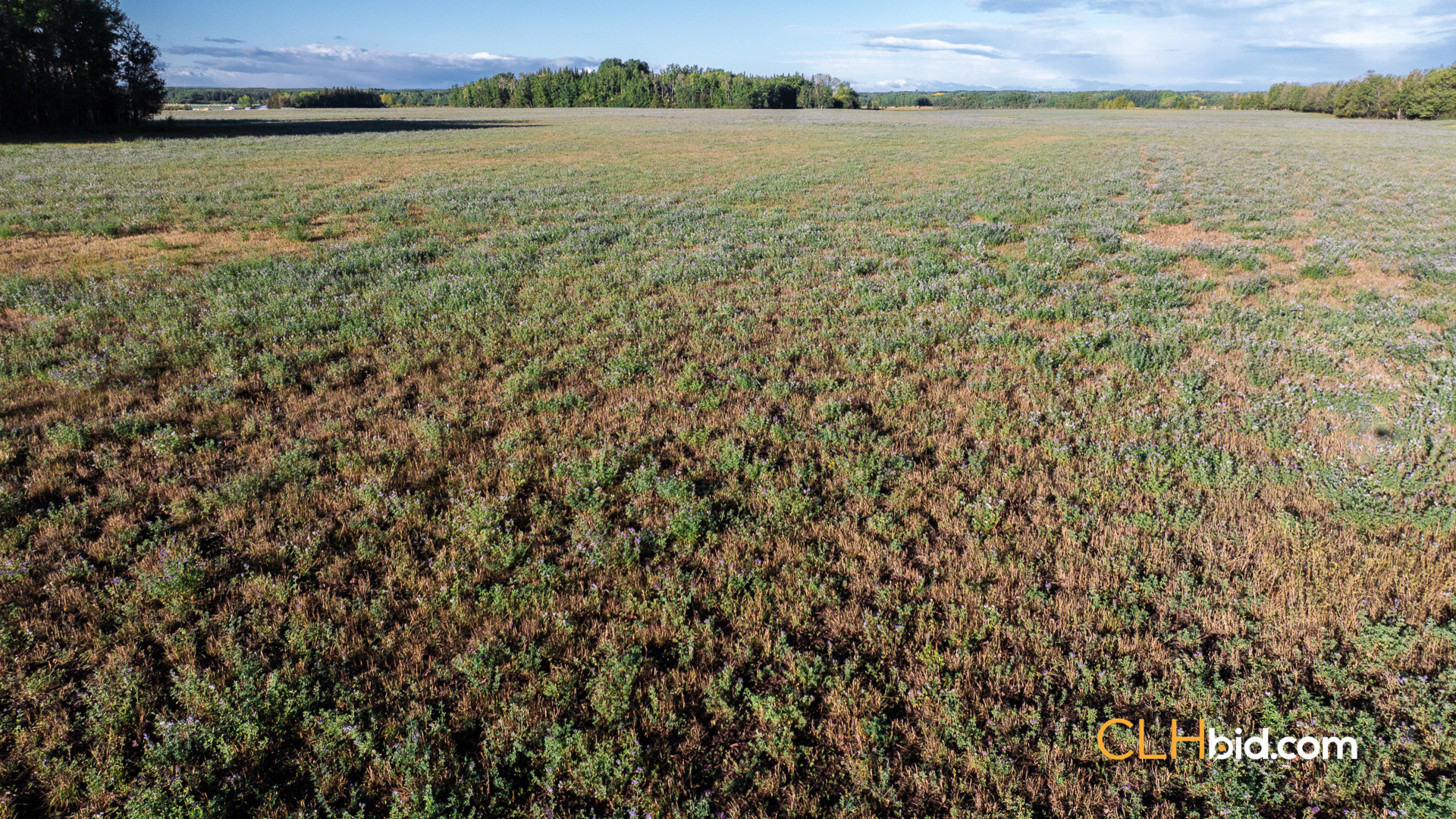 Web Premium Southwester-3