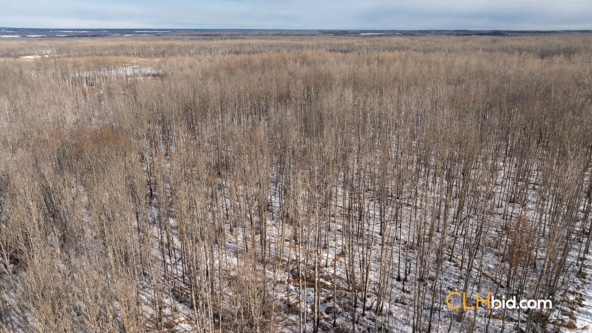 Web Sunrise Igniter-12