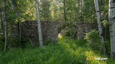 Bleuets Acres