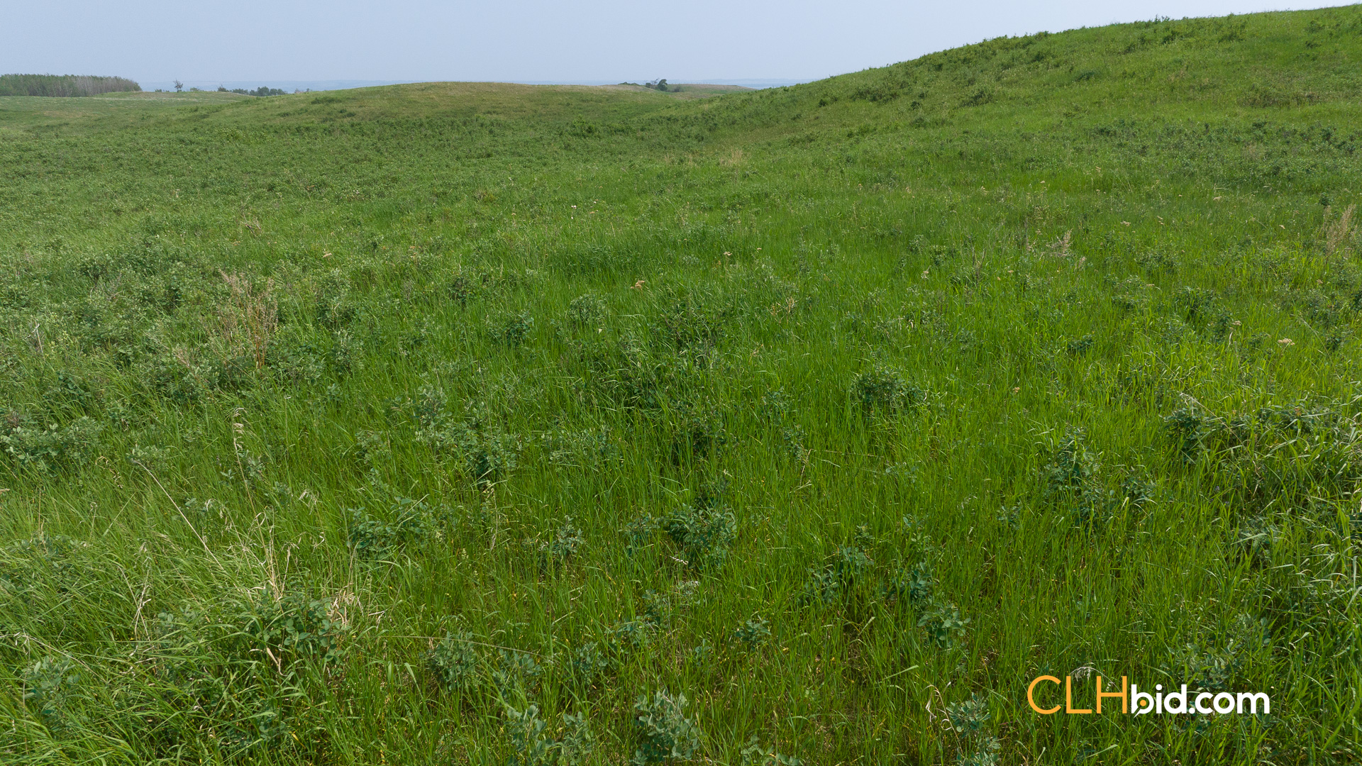 Web-Innisfree8Summer-18