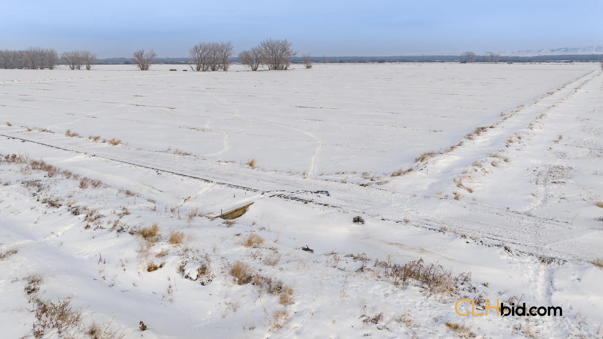 P1 Web169-AcresOfPedigree-69