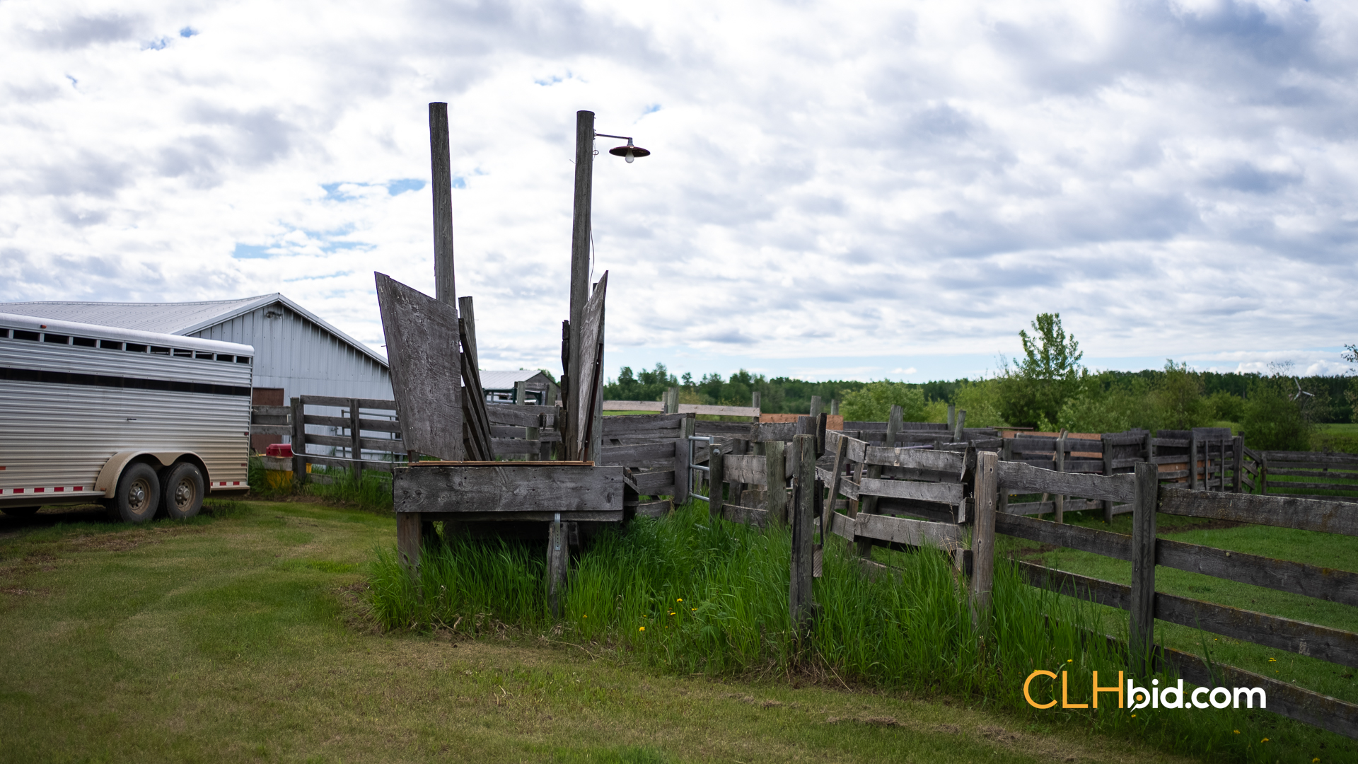 Web The Cattle Crossing-54