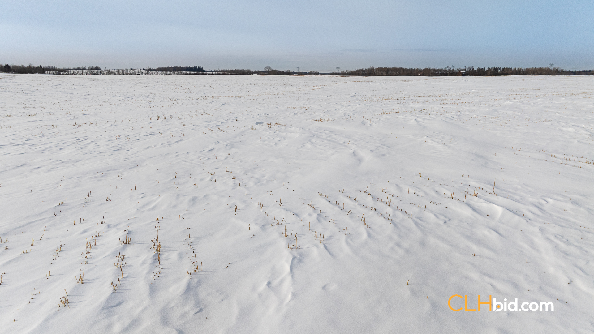 Web-LamontTopGrade-41