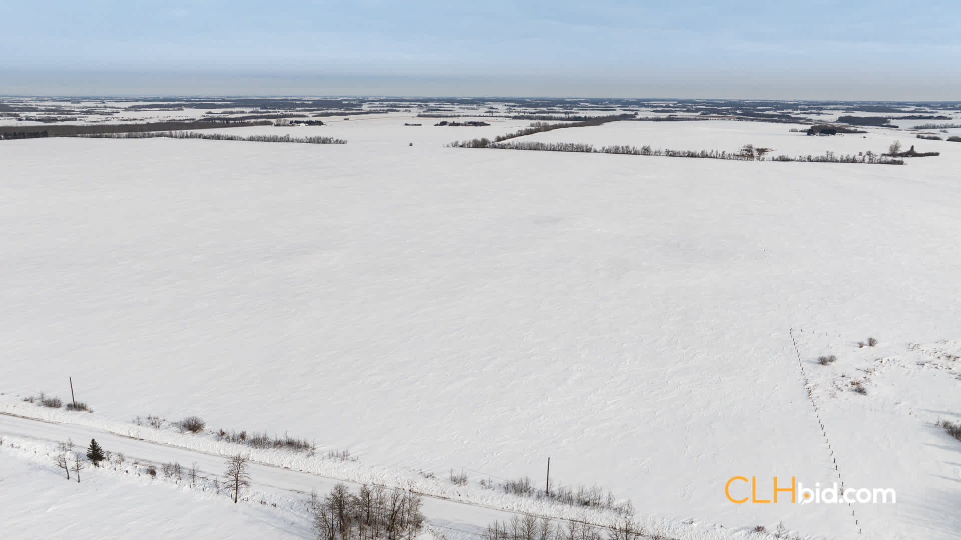 Web-LamontTopGrade-17