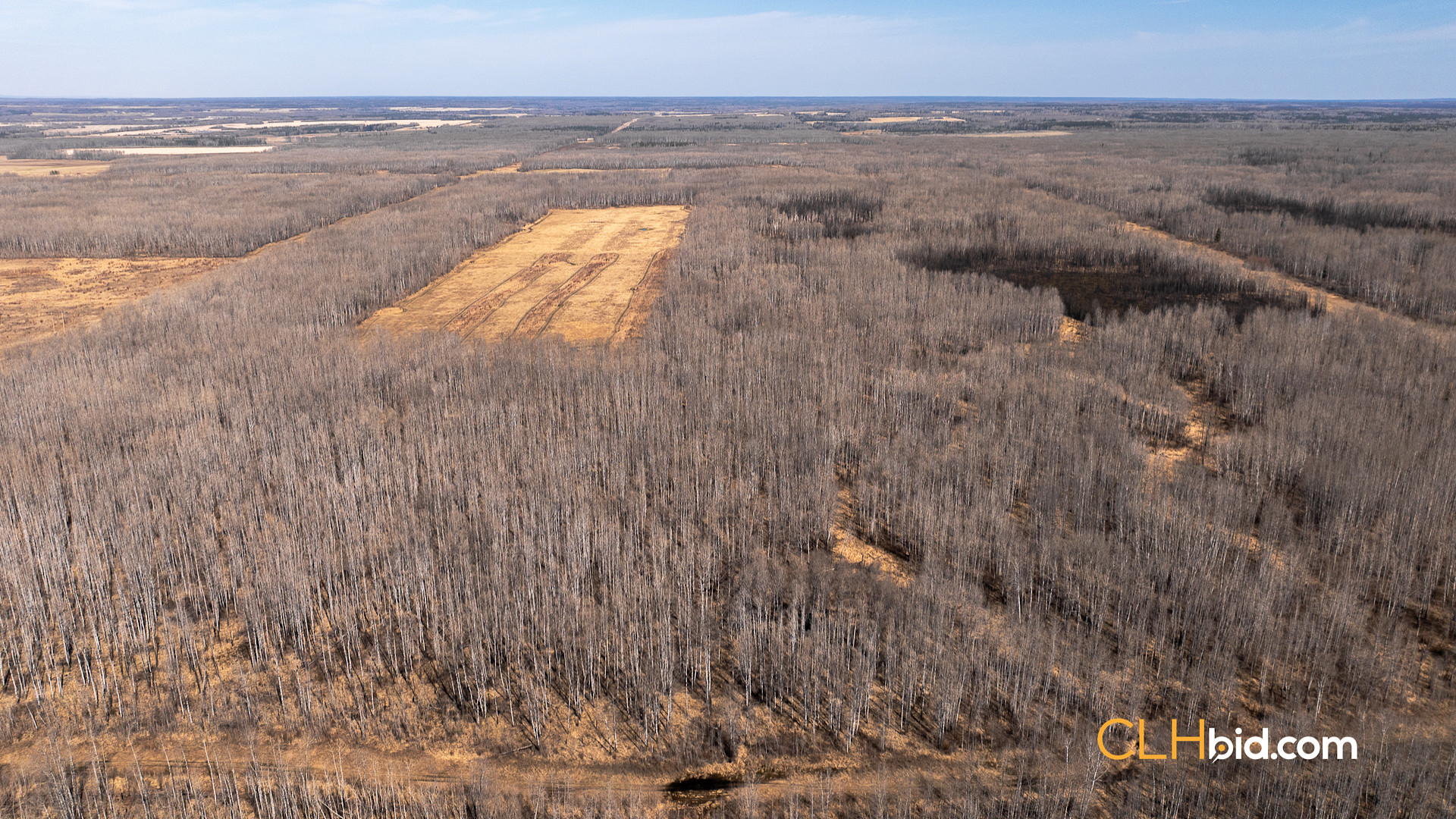 Web Sunrise Igniter Spring-6