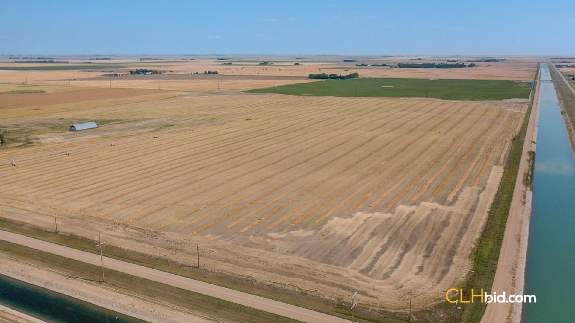 lethbridgehighroller-1-10