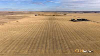 The Swift Collection - Parcel 1