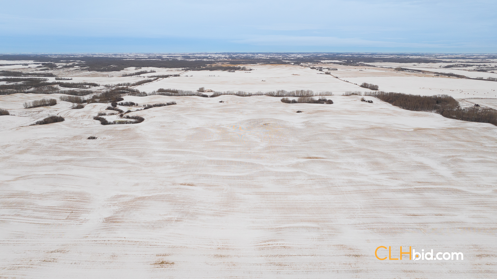 Web-InnisfreeBonus-2